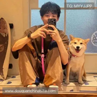 沈辉